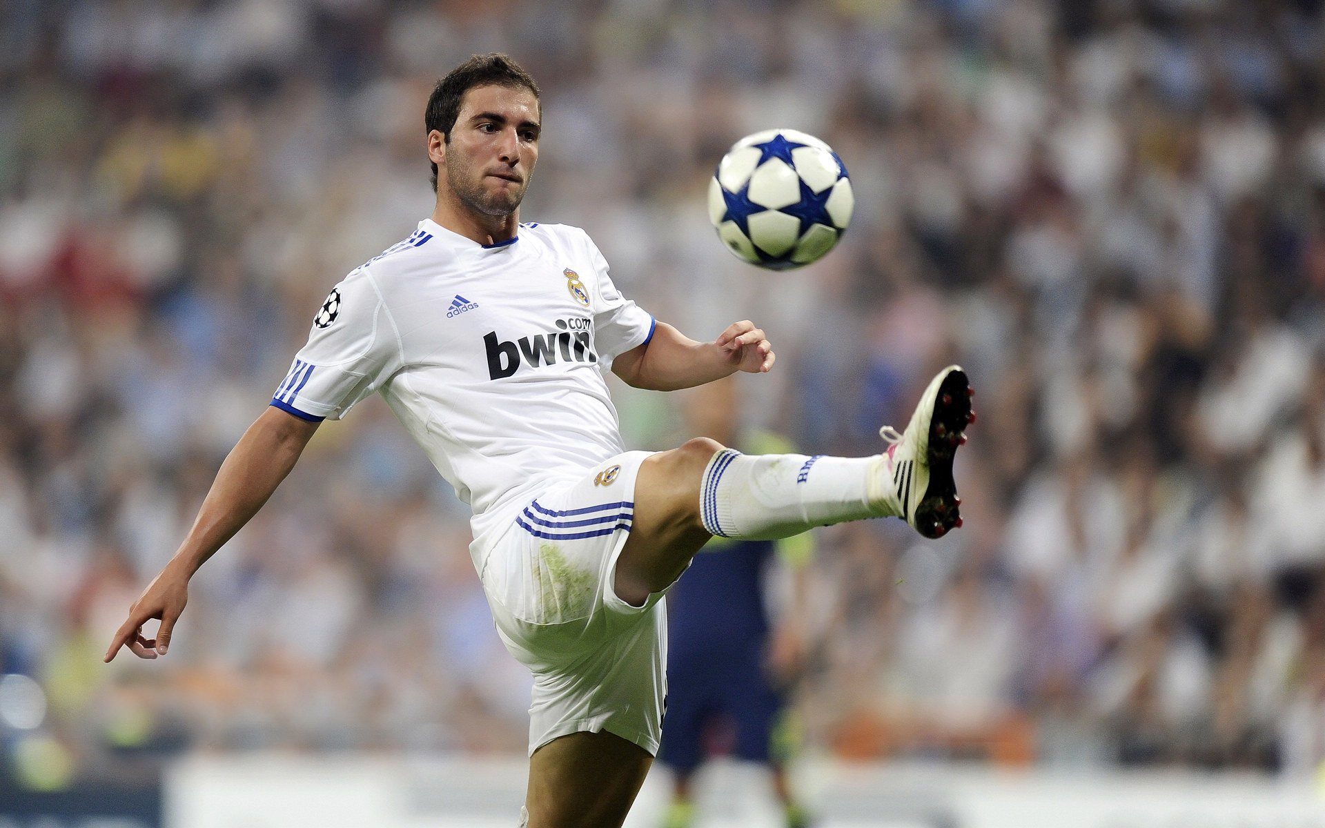 中国体操青少年选拔赛落幕 多位小将入列未来国家队观察名单，2021中国体操选手